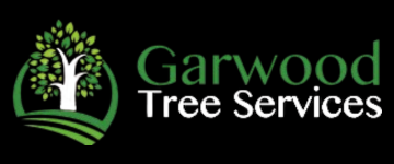 websiteslogologixbridge (16)