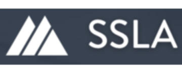 websiteslogologixbridge (7)